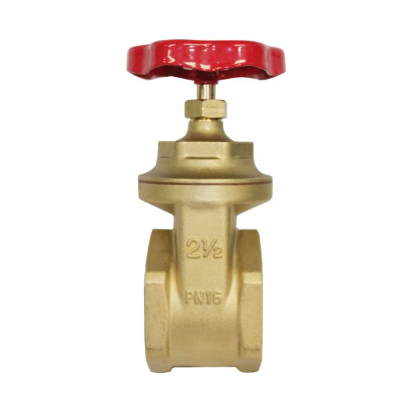 Válvula Compuerta de Bronce 2 1/2" - Productos Hidráulicos