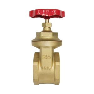 Válvula Compuerta de Bronce 2 1/2" - Productos Hidráulicos