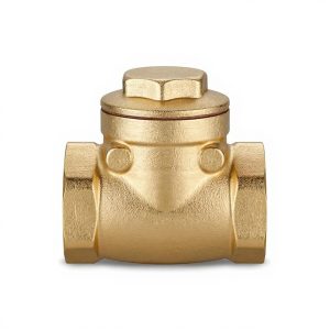 Válvula de Retención Horizontal Bronce 3" - Productos Hidráulicos